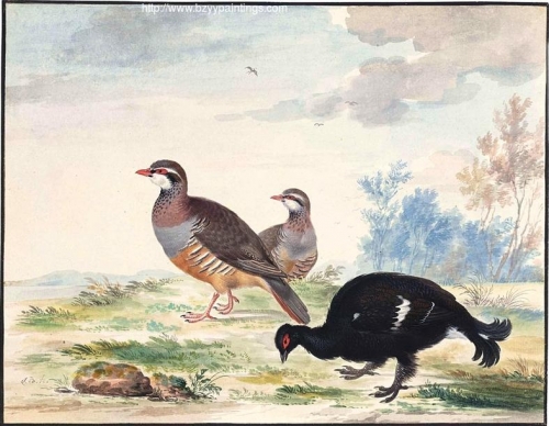 A Black Grouse and a Pair of Red-Legged Patridge.jpg