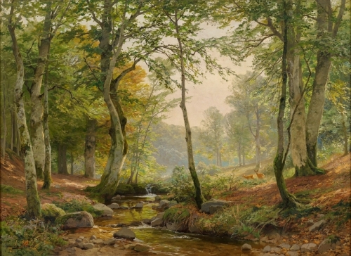 Forest Clearing with Stream.jpg