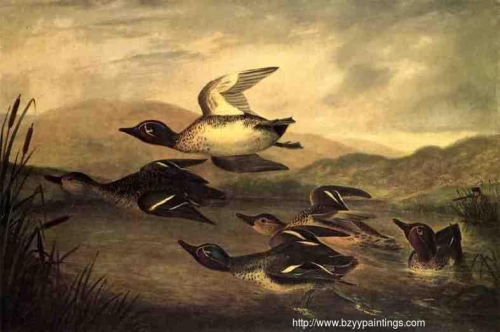 Wild Ducks Rising.jpg